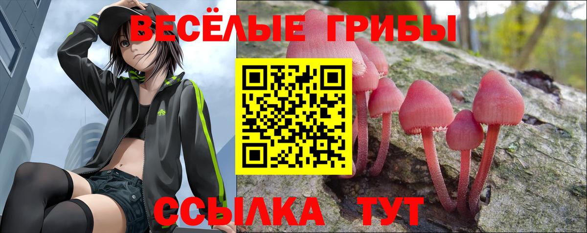 Галлюциногенные грибы прущие грибы  Вход с VPN  Бийск 