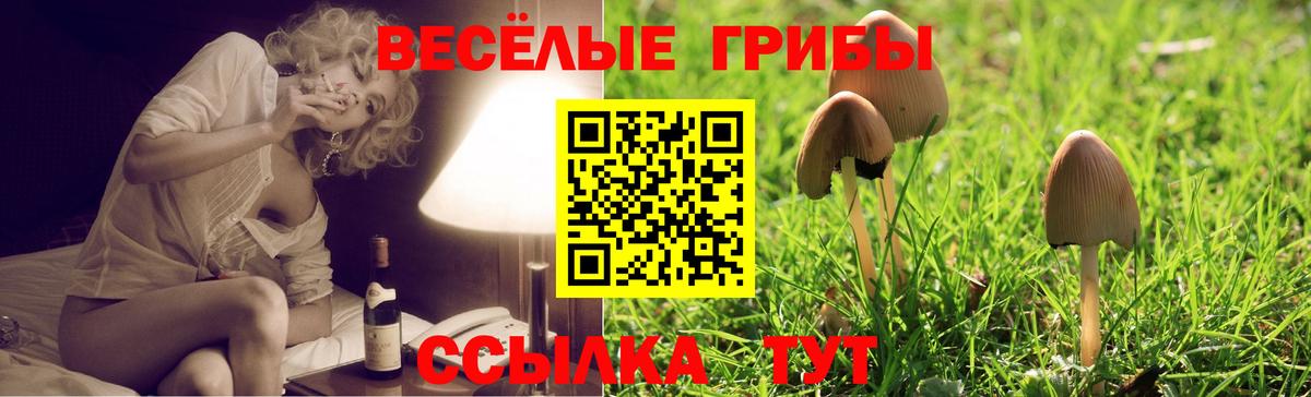 Псилоцибиновые грибы прущие грибы Бийск